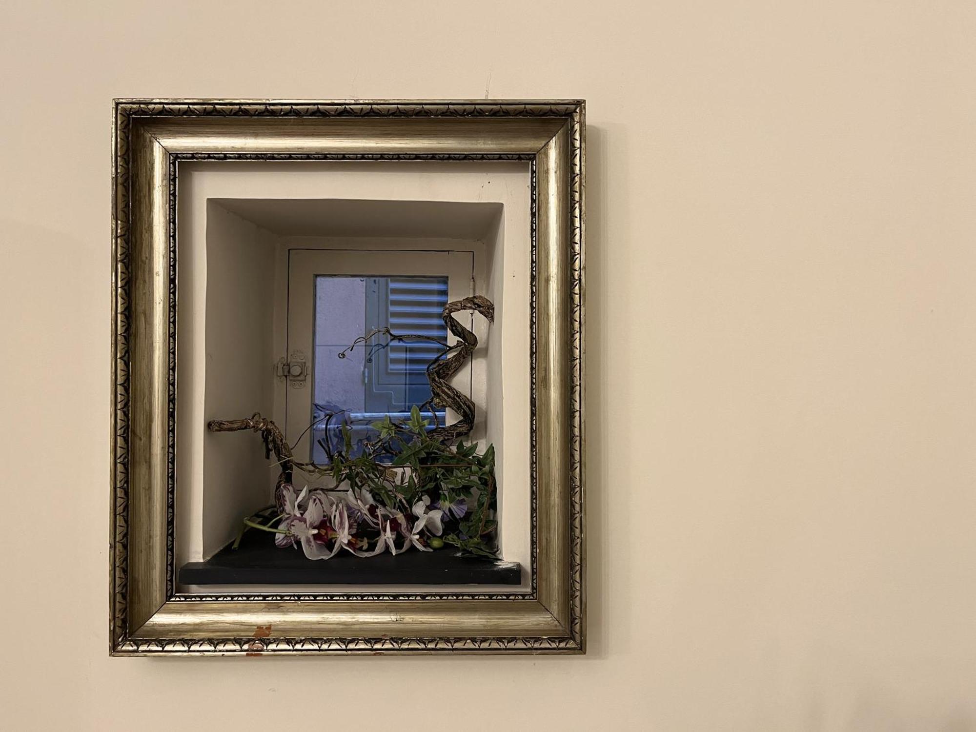 Giano Host - Lomellini *